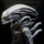 Zwift Rider avatar