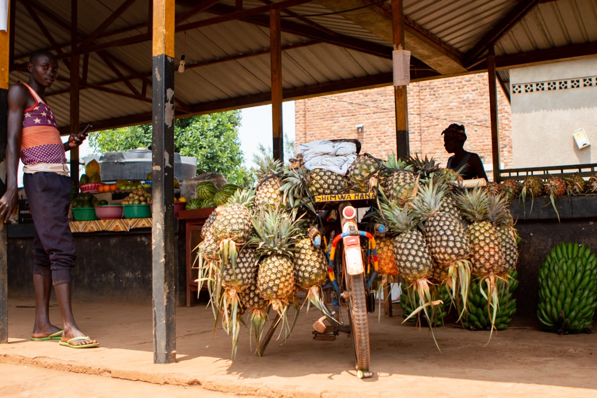 Rwandan man with his pineapple stack and bike