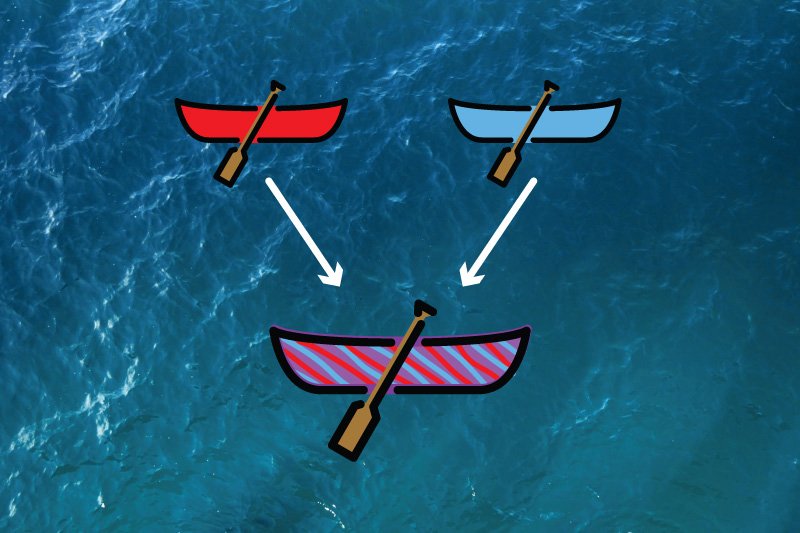 CANOE personality traits cover image