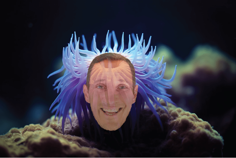 Push myself - Chris' head on a sea anemone.