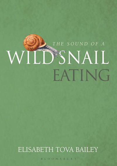 Sound of snail eating cover