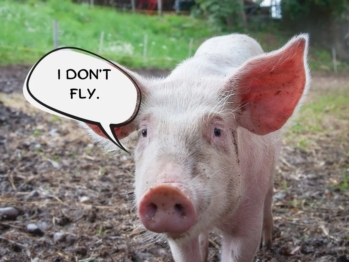 Example personal positioning strategy of a pig